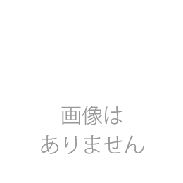 レインタイヤ　BIG・MIDDLE・SMALL・MINI